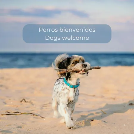 Candy Pop - Ac, High Speed Internet ,desk With Natural Light, Pool And Two Terraces Διαμέρισμα