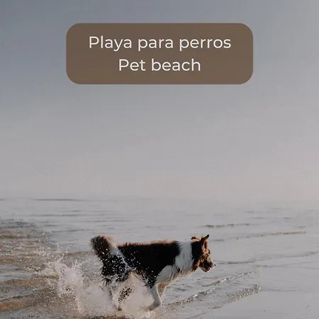 Apartman Candy Pop - Ac, High Speed Internet ,desk With Natural Light, Pool And Two Terraces *