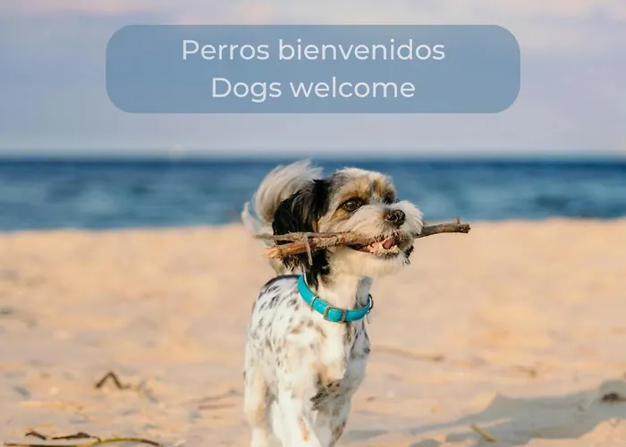 Candy Pop - Ac, High Speed Internet ,desk With Natural Light, Pool And Two Terraces Apartament