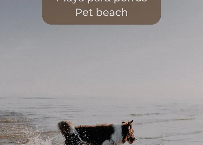 דירה Candy Pop - Ac, High Speed Internet ,desk With Natural Light, Pool And Two Terraces *